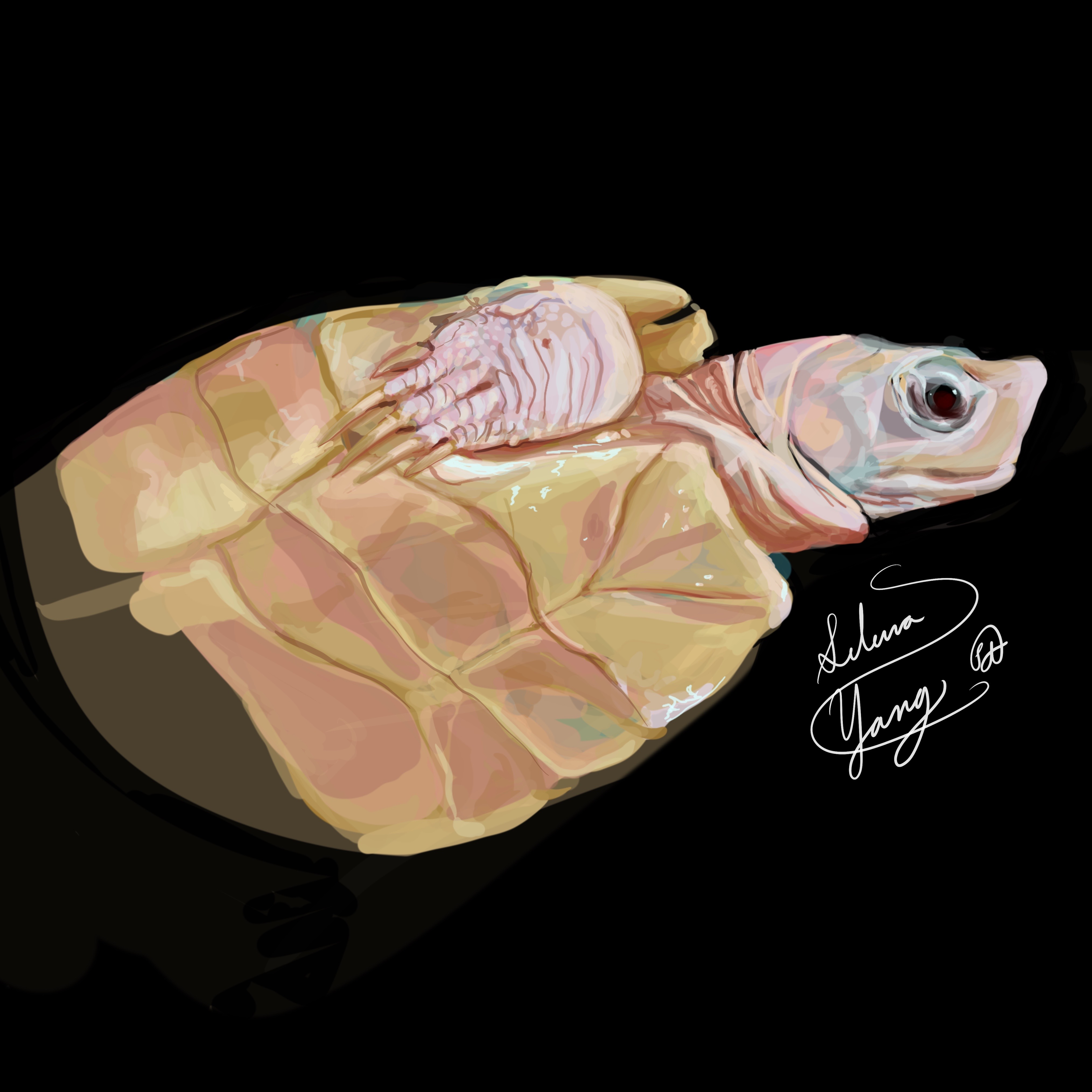 Painting (Procreate)